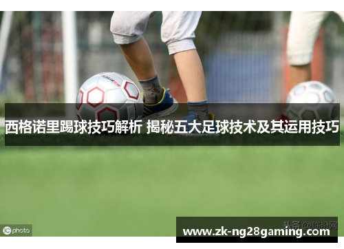 西格诺里踢球技巧解析 揭秘五大足球技术及其运用技巧