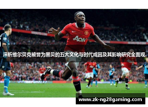 深析维尔贝克被誉为黑贝的五大文化与时代成因及其影响研究全面观