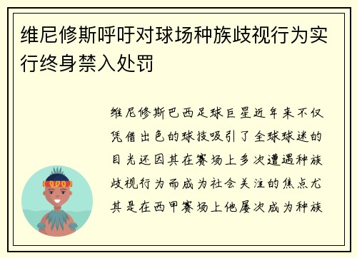 维尼修斯呼吁对球场种族歧视行为实行终身禁入处罚