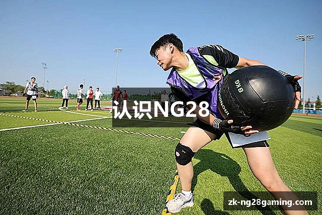 认识NG28
